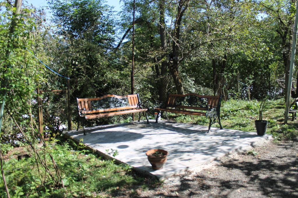 Apartment Cool House Borjomi ภายนอก รูปภาพ