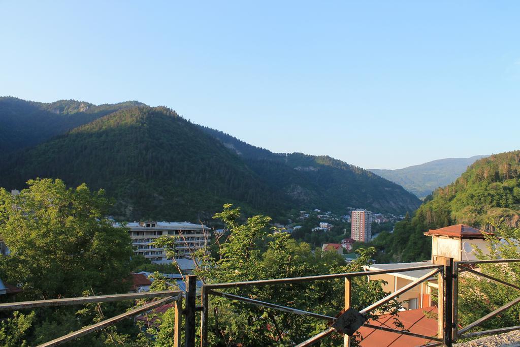 Apartment Cool House Borjomi ภายนอก รูปภาพ