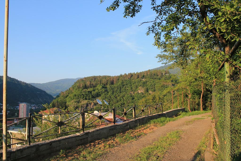 Apartment Cool House Borjomi ภายนอก รูปภาพ